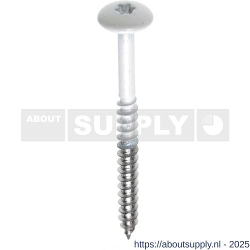 Fisinox kleurkopschroef 4,8x38 mm Torx TX 20 RVS A2 AISI 304 Trespa A1045 siennabruin - S40883371 - afbeelding 1