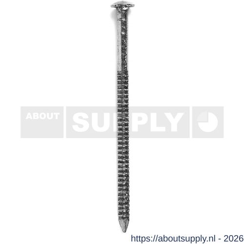 HJZ ringnagel 2.6x45 mm bombe kop RVS A2 1 kg - S40870224 - afbeelding 1