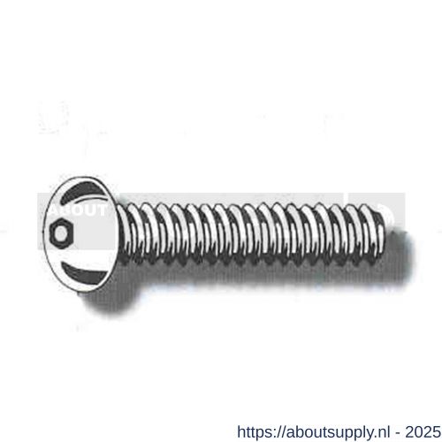 Groen Bevestigingsmaterialen anti-diefstal bout Pin Hexagon M8x25 mm RVS A2 170825 - S11550069 - afbeelding 1