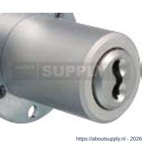 Evva meubelcilinder 37 mm lang 3KS diameter 22 mm keersleutel plan messing vernikkeld - S22100588 - afbeelding 1