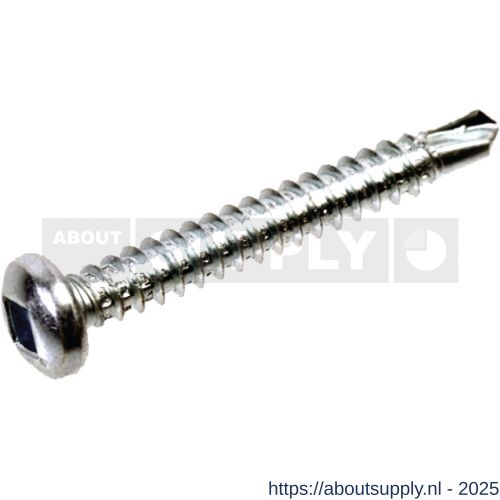 QZ 844 zelfborende schroef panhead binnenvierkant 4.2x13 mm SQ-2 staal gehard verzinkt - S50000127 - afbeelding 1