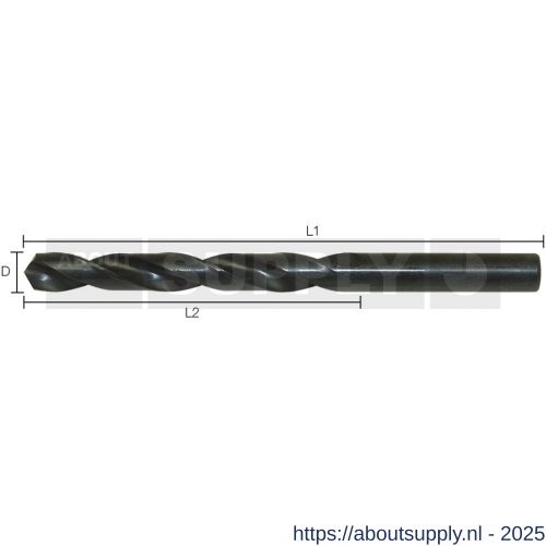 Labor AA000190 metaalboor DIN 338 HSS-R rolgewalst 1.9x22/46 mm 10 stuks koker - S50304848 - afbeelding 1