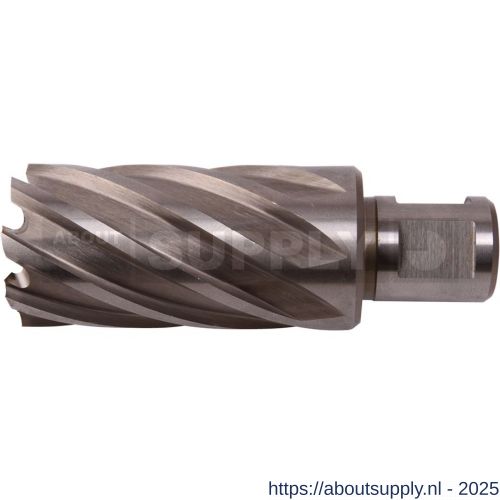 Labor LN180500 kernboor HSS-Co8 % M42 voor magneetboormachine Weldon 18.0x50 mm koker - S50304107 - afbeelding 1
