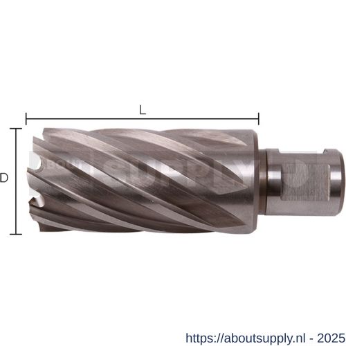 Labor LK300300 kernboor HSS-G M2 voor magneetboormachine Weldon 30.0x30 mm koker - S50303320 - afbeelding 1
