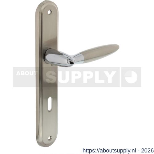 Intersteel 1682 deurkruk Elen op schild ovaal 242x43 mm sleutelgat 72 mm chroom-nikkel mat - S26004841 - afbeelding 1