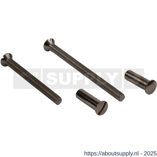 Ami patentbouthuls messing vernikkeld M4x22.5 mm zaagsnede set 10 stuks - S10900196 - afbeelding 1