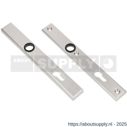 Ami VHB 251/32 veiligheidssmalschild SKG** VHB 251/32 buiten blind binnen profielcilinder PC 92 F1 deurdikte 53-57 mm - S10901564 - afbeelding 1