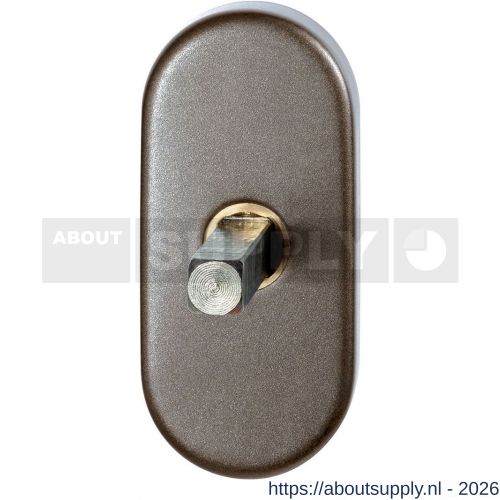 GPF Bouwbeslag Anastasius GPF1130.A3.0040 draaikiepmechanisme ovaal 65x30x12 mm met stift binnenzijde 40 mm Mocca blend - S21011429 - afbeelding 1