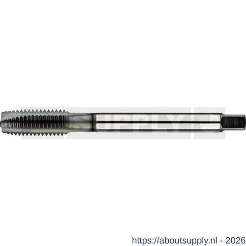 Phantom 22.269 HP2 UNI HSS-E PM machinetap DIN 376 metrisch hardlube voor doorlopende gaten M20 - S40513653 - afbeelding 1