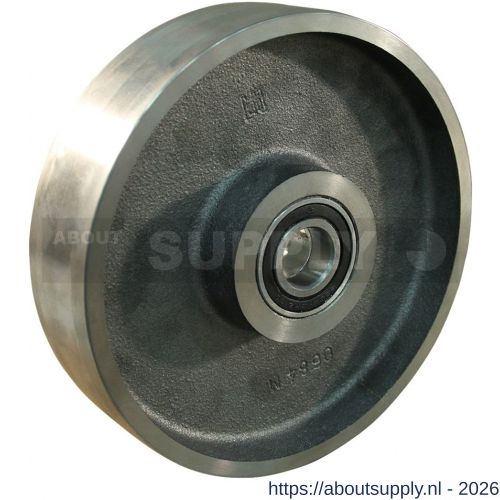 Protempo serie 45 transportwiel los gietijzer 250 mm kogellager - S20910662 - afbeelding 1