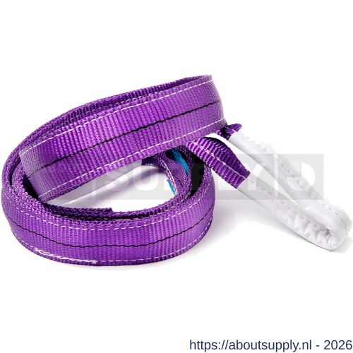 Deltasling hijsband 1 ton 2,5 m - S53100091 - afbeelding 1