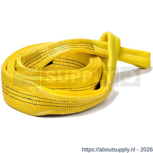 Deltasling hijsband 3 ton 1 m - S53100108 - afbeelding 1